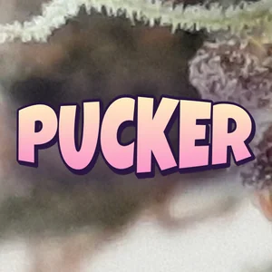 Pucker Cannabis Strain