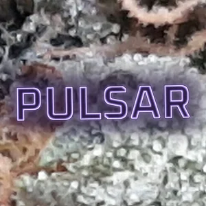 Pulsar Cannabis Strain