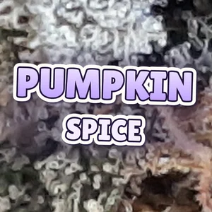 Pumpkin Spice Cannabis Strain
