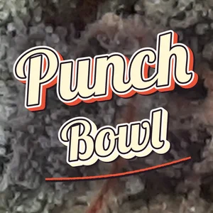 Punch Bowl Cannabis Strain