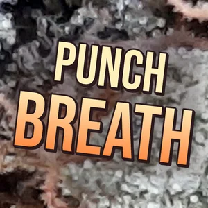 Punch Breath Cannabis Strain