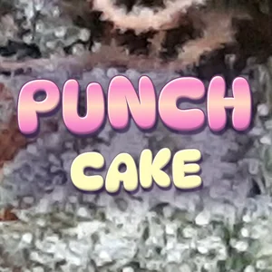 Punch Cake Cannabis Strain