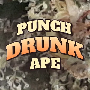 Punch Drunk Ape Cannabis Strain
