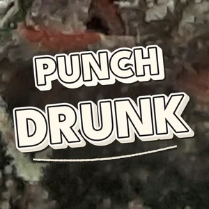 Punch Drunk Cannabis Strain