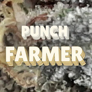 Punch Farmer Cannabis Strain