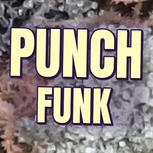 Punch Funk Cannabis Strain