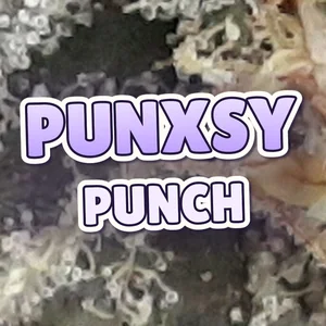 Punxsy Punch Cannabis Strain