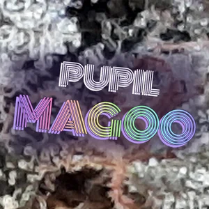 Pupil Magoo Cannabis Strain