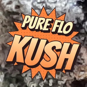 Pure Flo Kush Cannabis Strain