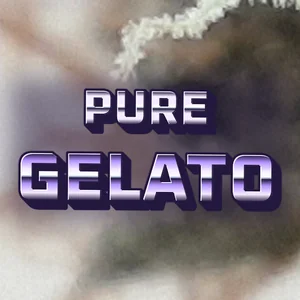 Pure Gelato Cannabis Strain