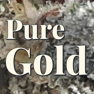 Pure Gold Cannabis Strain