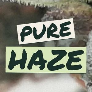 Pure Haze Cannabis Strain