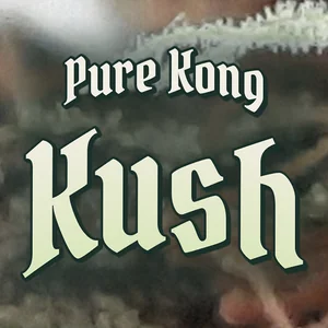Pure Kong Kush Cannabis Strain