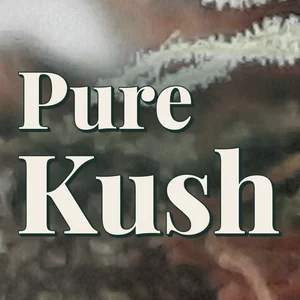 Pure Kush Cannabis Strain