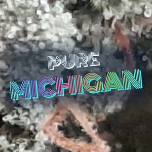 Pure Michigan Cannabis Strain