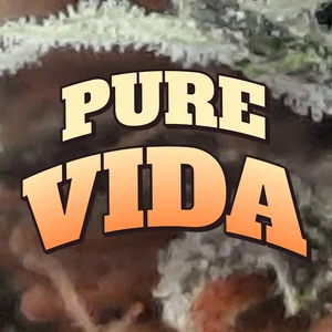 Pure Vida Cannabis Strain