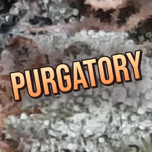 Purgatory Cannabis Strain