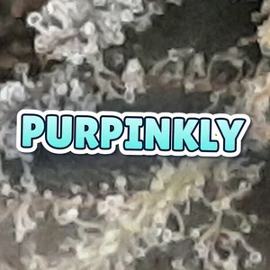 Purpinkly Cannabis Strain