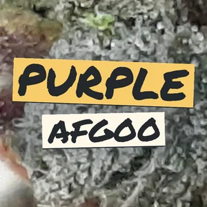 Purple Afgoo Cannabis Strain