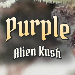 Purple Alien Kush Cannabis Strain