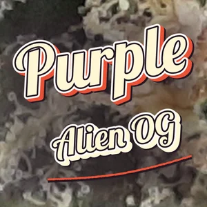 Purple Alien OG Cannabis Strain