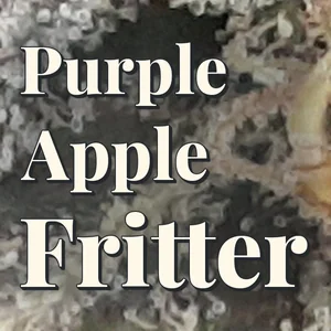 Purple Apple Fritter Cannabis Strain