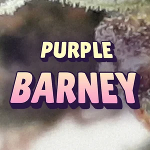 Purple Barney Cannabis Strain