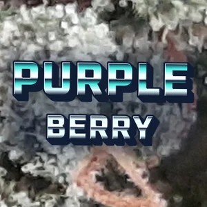 Purple Berry Cannabis Strain
