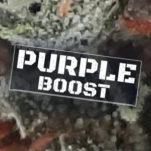 Purple Boost Cannabis Strain