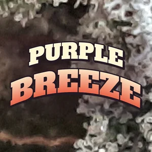Purple Breeze Cannabis Strain