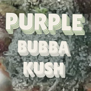 Purple Bubba Kush Cannabis Strain