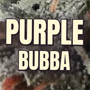 Purple Bubba Cannabis Strain