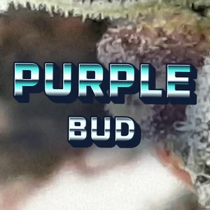 Purple Bud Cannabis Strain