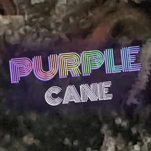 Purple Cane Cannabis Strain