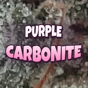 Purple Carbonite Cannabis Strain