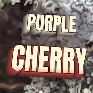 Purple Cherry Cannabis Strain