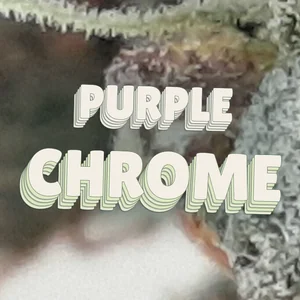 Purple Chrome Cannabis Strain