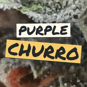 Purple Churro Cannabis Strain