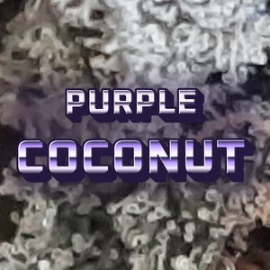 Purple Coconut Cannabis Strain