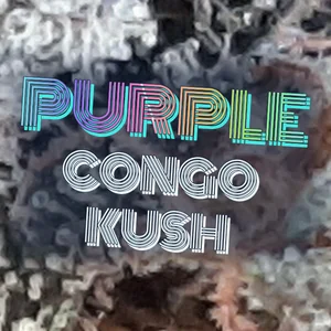 Purple Congo Kush Cannabis Strain