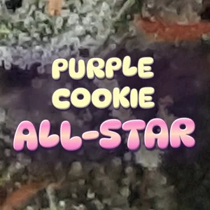 Purple Cookie All-Star Cannabis Strain
