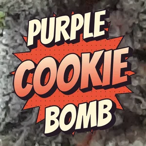 Purple Cookie Bomb Cannabis Strain