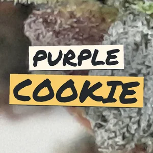 Purple Cookie Cannabis Strain