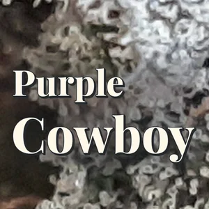 Purple Cowboy Cannabis Strain