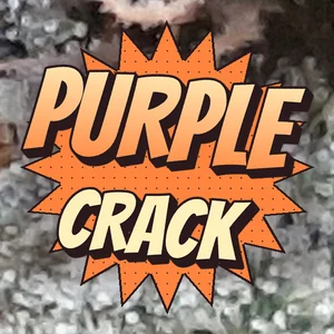 Purple Crack Cannabis Strain