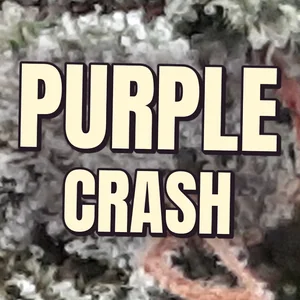 Purple Crash Cannabis Strain