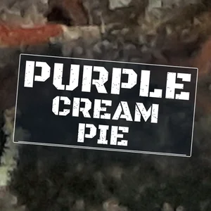 Purple Cream Pie Cannabis Strain