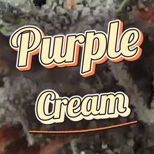 Purple Cream Cannabis Strain