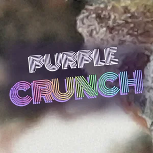 Purple Crunch Cannabis Strain