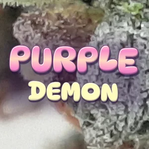 Purple Demon Cannabis Strain